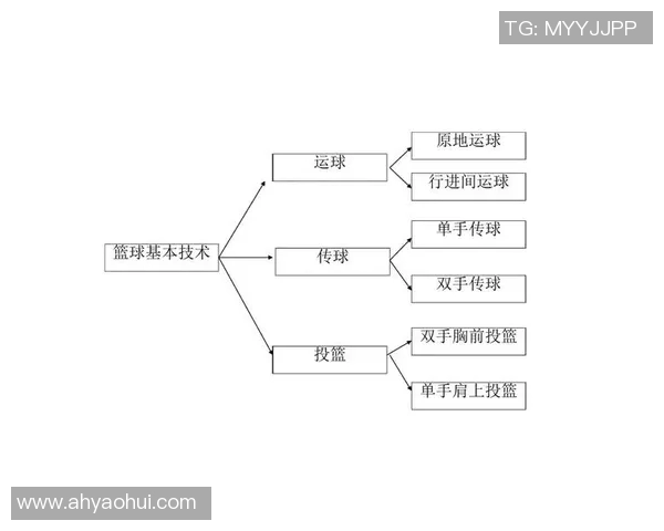篮球新手必看:从零基础到技术提升的全面入门指南 篮球新手必看:从零基础到技术提升的全面入门指南
