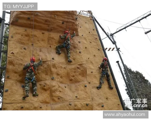 南京攀岩队的战术控制体系与攀岩技巧的深度融合探讨