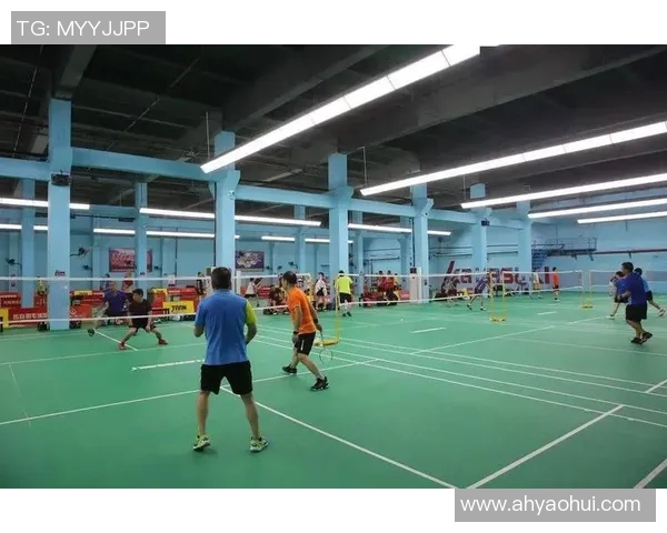 深圳羽毛球队的运营揭秘与发展深度分析 深圳羽毛球队的运营揭秘与发展深度分析