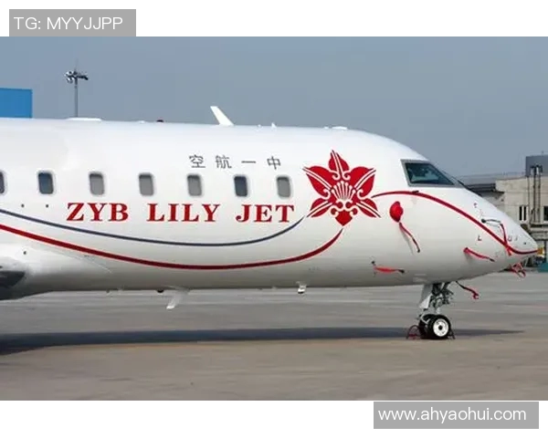 足球明星私人飞机价格揭秘谁是最奢华的飞行王者