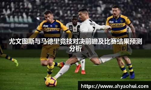 3377体育官网
