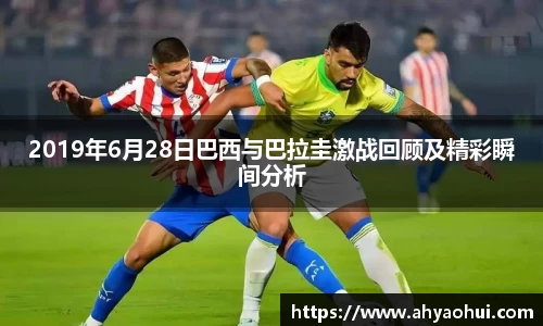 3377体育官网