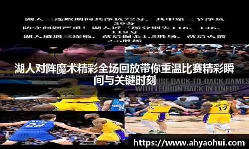 3377体育