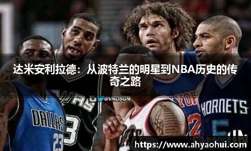 3377体育官网